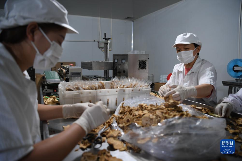威尼斯欢乐娱人城官网入口